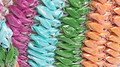 Rattan Rainbow